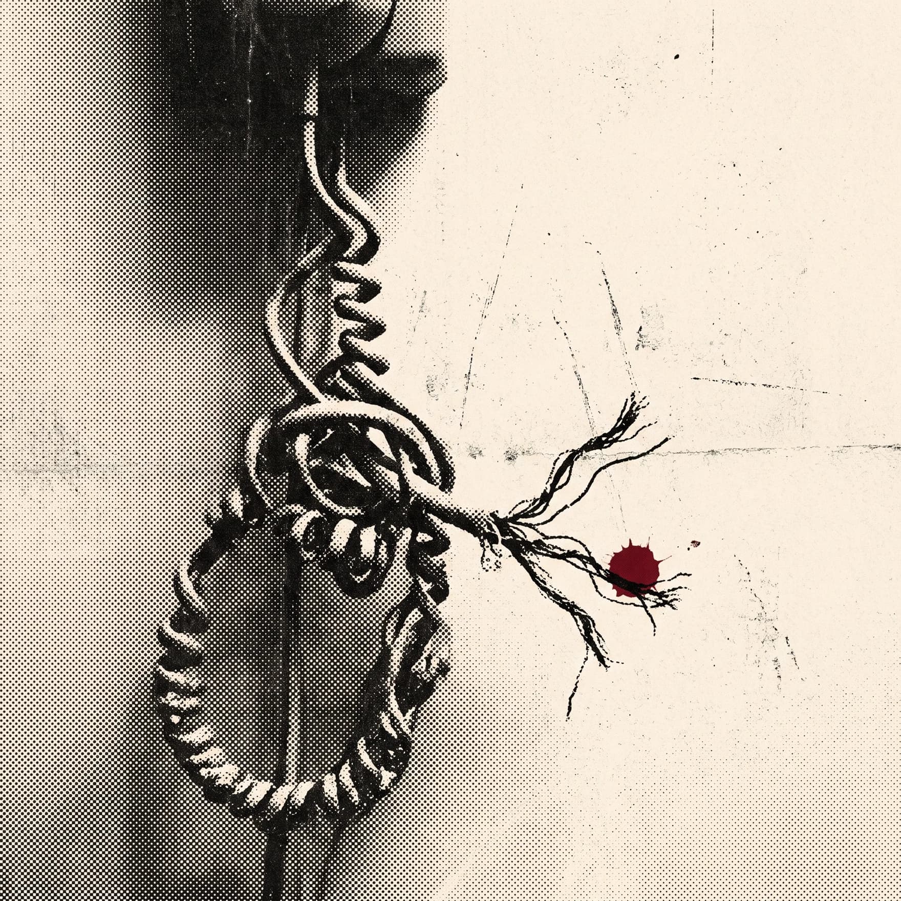 Faible Connection cover